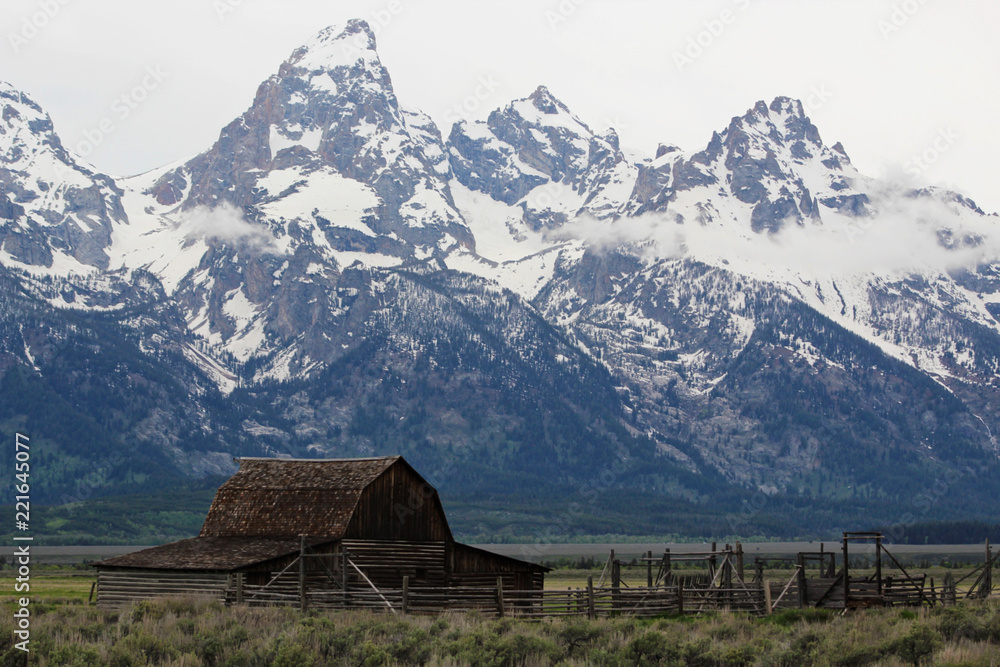 Mormon row barn with the Teton mountain range behind. Grand Teton National Park