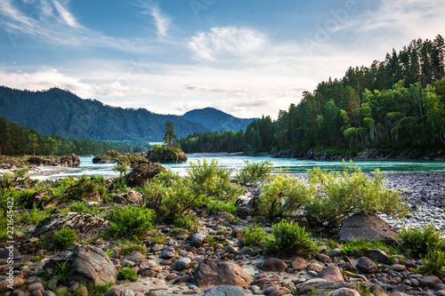 The River Katun. Mountain Altai, Southern Siberia, Russia photo