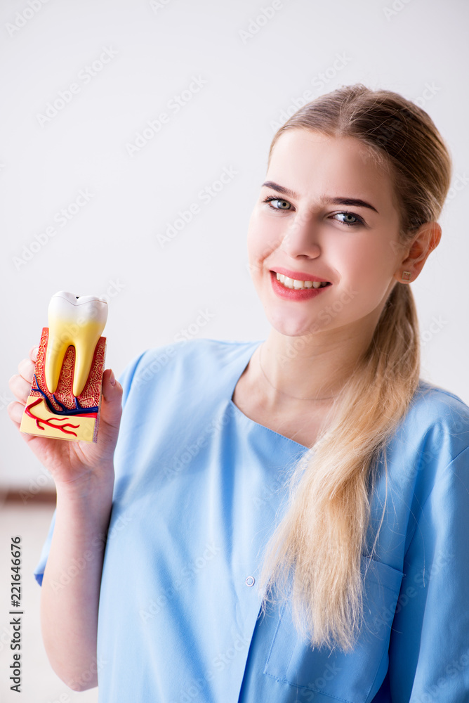 Young doctor nurse with tooth model