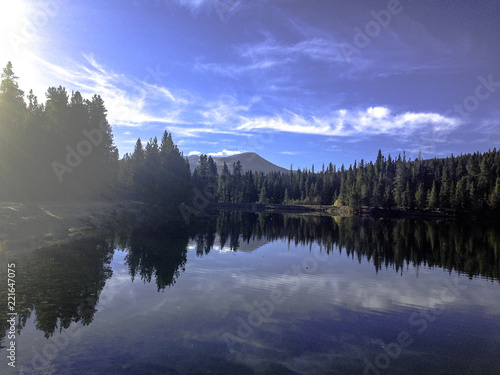Clouds and trees reflected on still water. © Walter