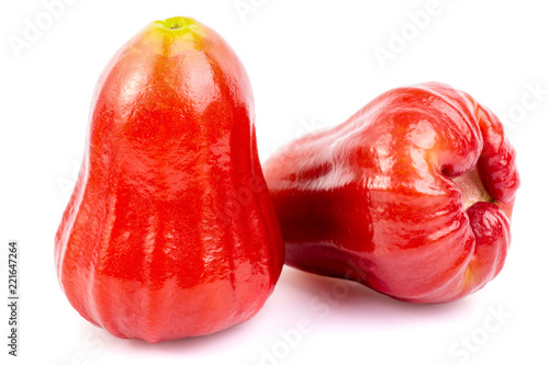 Rose apple on the white background. photo