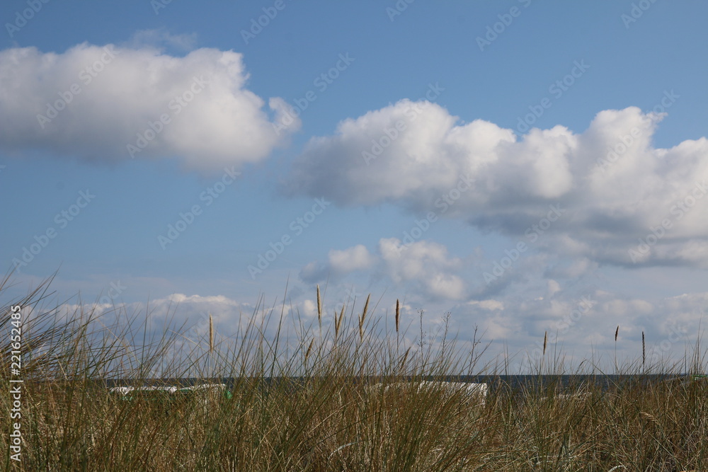 Obraz premium Schöner Blick zwischen den Dünen aufs Meer