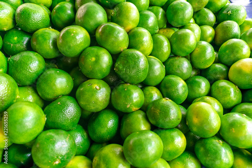 Green mandalas closeup view © UFT