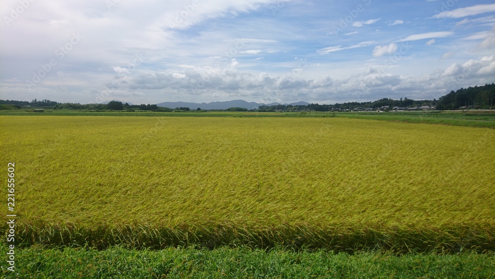 Fototapeta premium 日本 田舎 田園3
