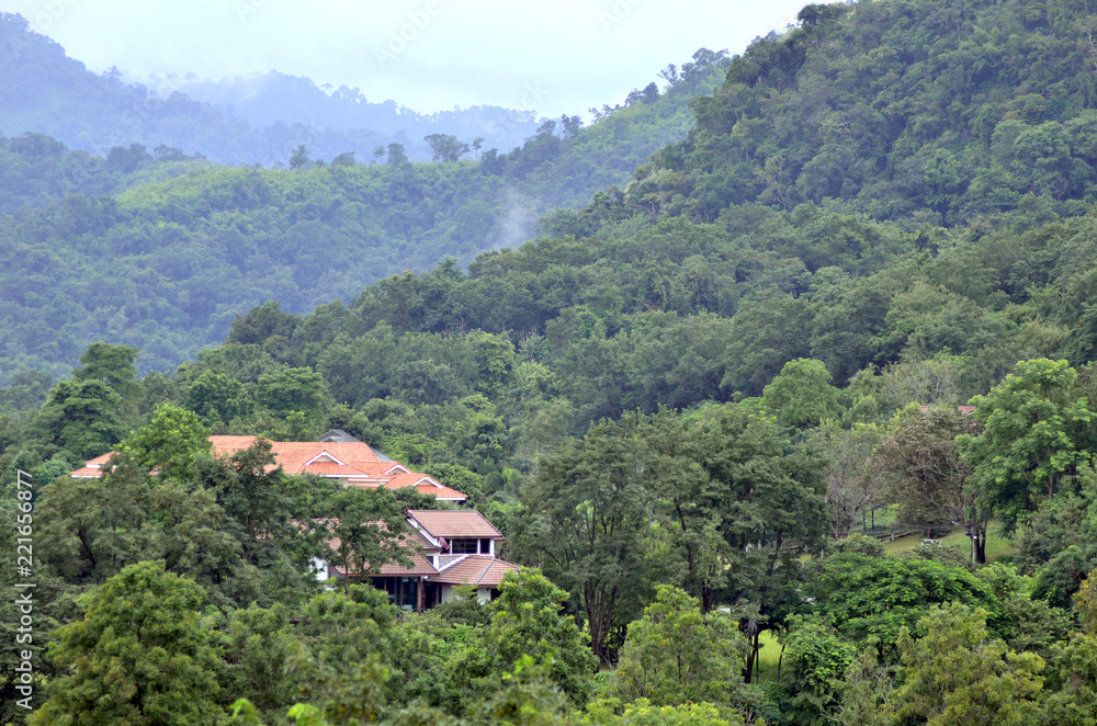 House in the middle of the forest. A house in the middle of forest in a hill.