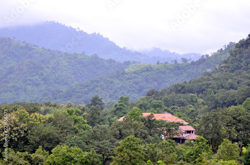 House in the middle of the forest. A house in the middle of forest in a hill.