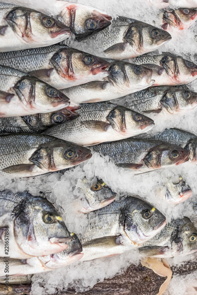 Frozen fish on ice. Various fresh fish with heads on the counter in the market, vertical background. Frozen fish on ice. Various fresh fish with heads on the counter in the market, vertical background.