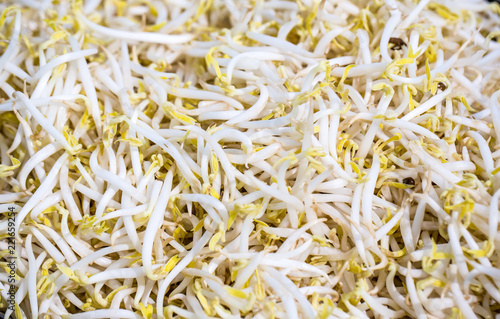 Pile of bean sprouts . soybean sprouts on white background. 