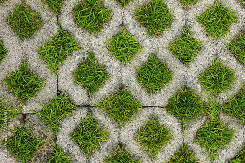 Cement block with grass