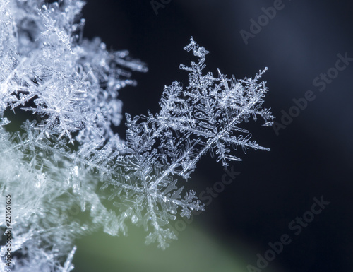 snowflake in the snow, winter 