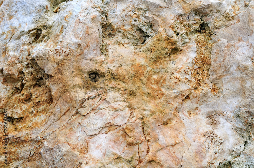 close-up of a limestone rock