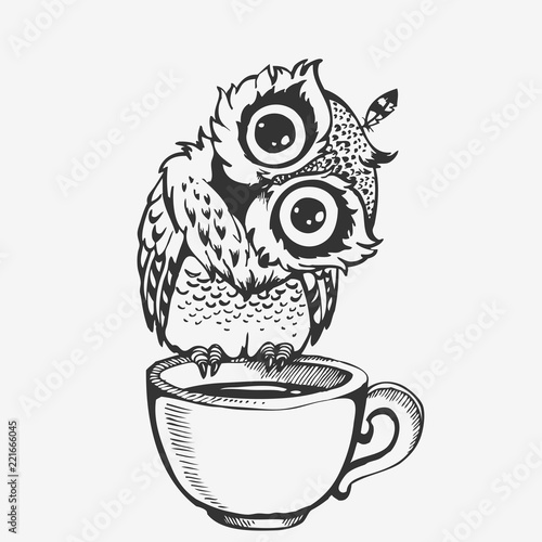 Cute owl cartoon character line sketch