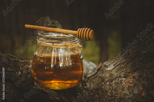 Jar of fresh honey and honey spoon on pine tree in woods.