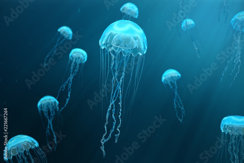 Fotografie, Obraz 3D illustration background of jellyfish