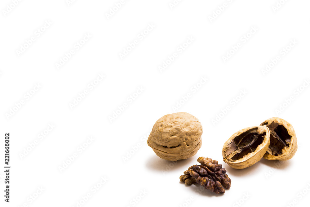 Walnut on white background Walnut on white background