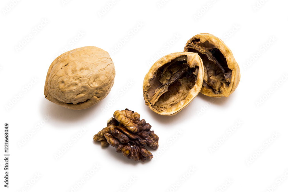 Walnut on white background Walnut on white background