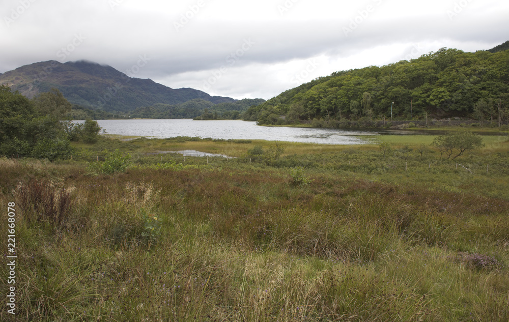 Loch Ard, Loch Lomond and The Trossachs National Park, Scotland, UK.