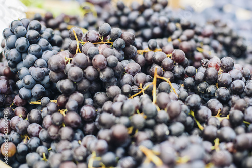 Fresh grapes on the market