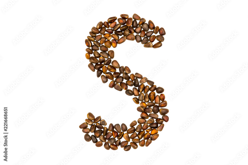 Obraz premium 40 / 10000 АНГЛИЙСКИЙ Перевести вGoogleBing The alphabet of the pine nuts on a white background