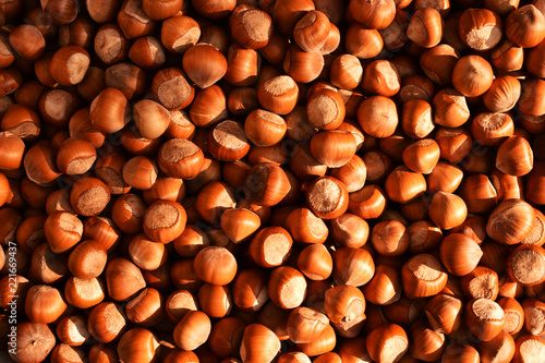 texture of hazelnut