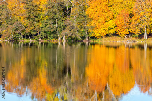 Idyllic lake with autumn colors on the trees reflecting in the water