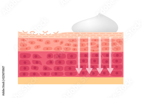 cream , foam and lotion cure dry skin vector