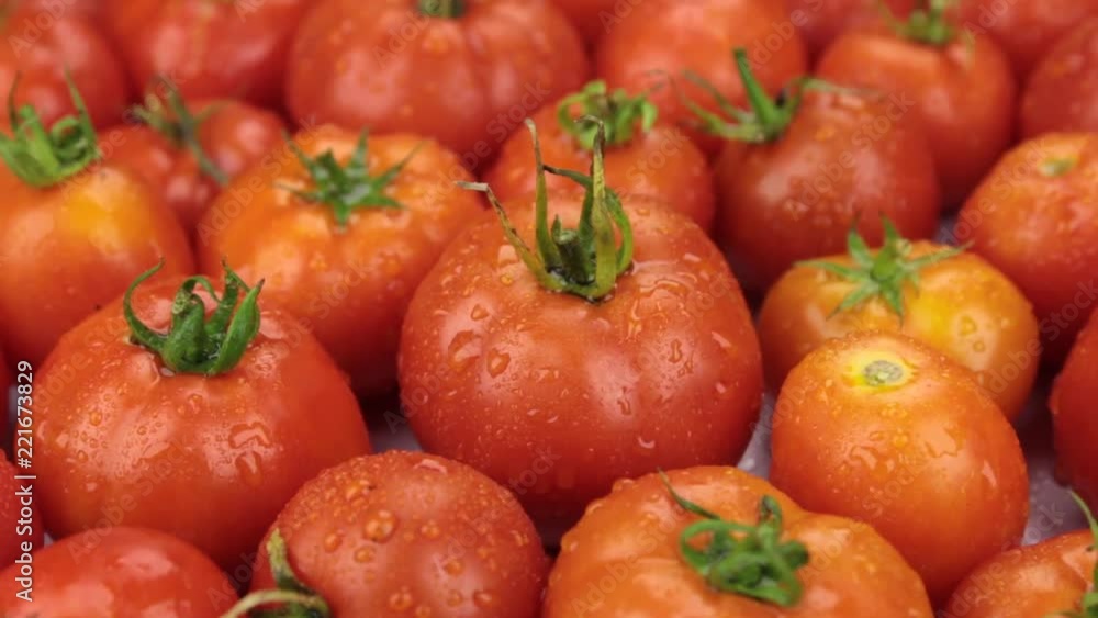 Close-up. Rotation of natural ripe red tomatoes in drops of dew. Food Close-up. Rotation of natural ripe red tomatoes in drops of dew. Food