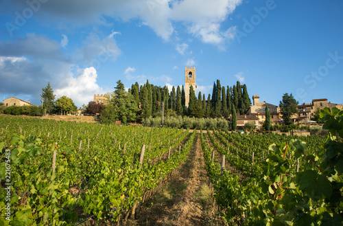 Harvest in Chianti vineyard landscape with red wine grapes and characteristic abbey in the background, Tuscany, Italy