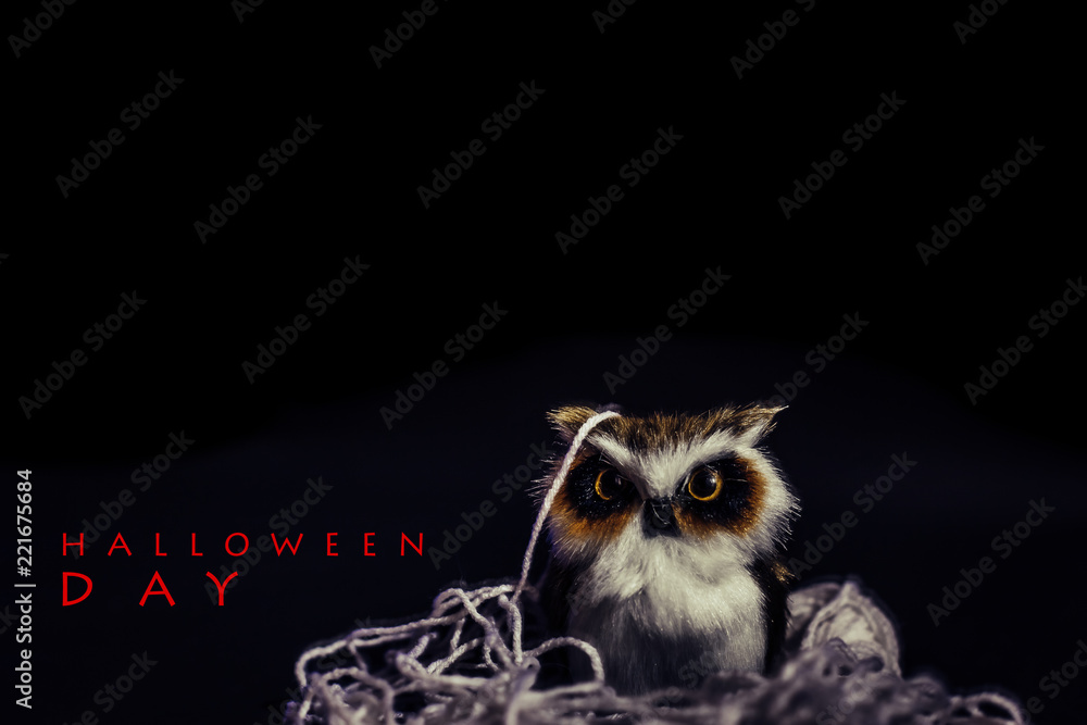 Fototapeta premium Halloween Day, The Owl on black background, the orange Pumpkin paper, Halloween concepts, Happy Halloween Days, Copy space.