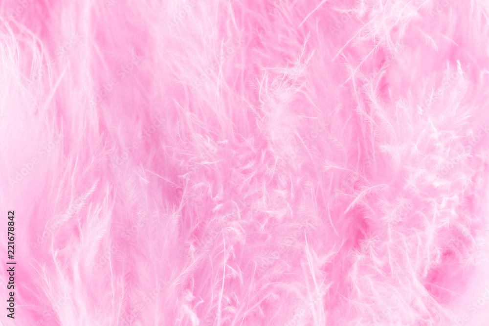 Macro shot of pink bird fluffy feathers in soft and blur style Macro shot of pink bird fluffy feathers in soft and blur style