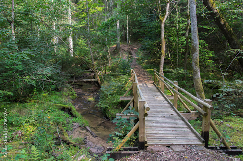 Beautiful view of a small wooden bridge over a stream in the forest in Gauja National Park in Latvia.