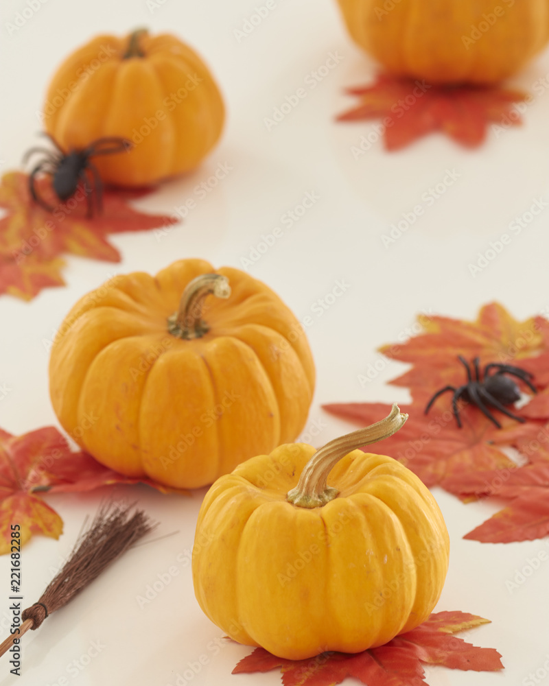 autumn halloween pumpkins on wooden autumn halloween pumpkins on wooden