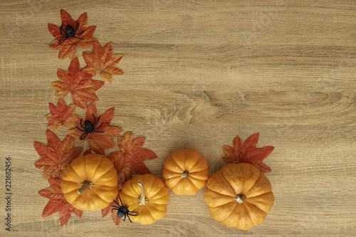 Pumpkin Autumn Thanksgiving Background