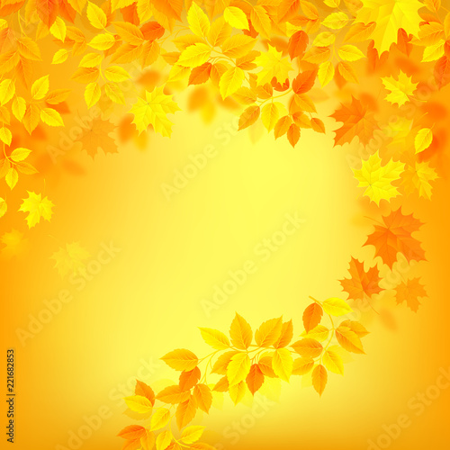 autumn decoration color background with yellow, orrange season leaves