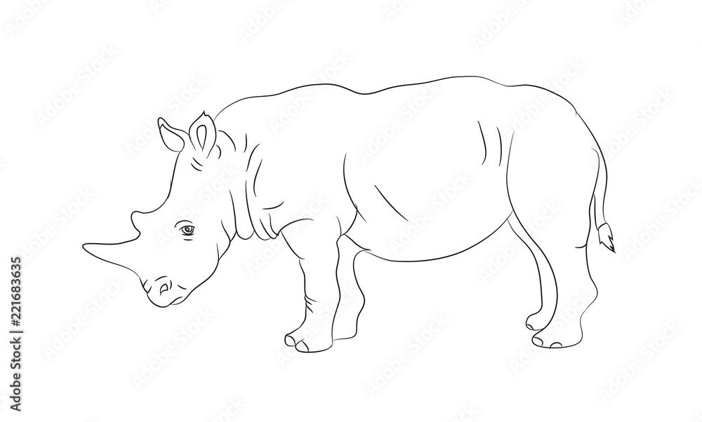 Fototapeta premium rhinoceros worth drawing lines, vector