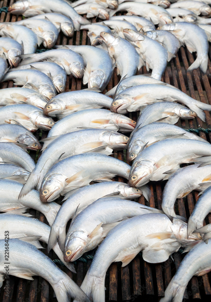 Obraz premium Dried fish on the grid in the sunny day