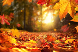 Stimmungsvolle Szene im Herbst mit fallenden Blättern und untergehender Sonne