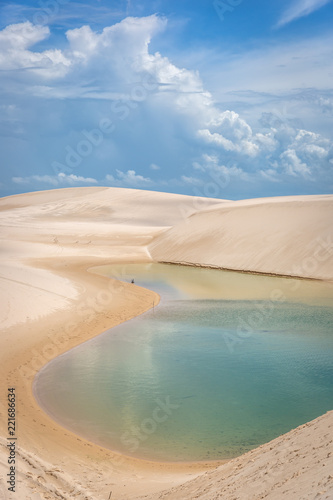 Lençóis Maranhenses National Park, the park’s diverse ecosystem also includes mangrove swamps.