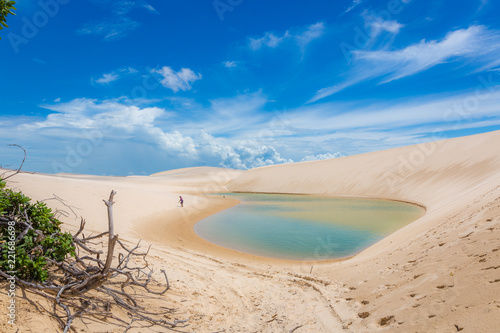 Amazing landscape, white sand dunes, blue sky, flesh water lagoon, wood trees and a lonely person