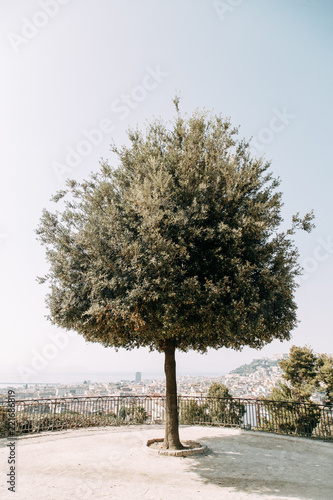 Beautiful streets and courtyards of Naples, historical sites and sculptures of the city. The monuments and architecture of ancient Italy. panorama of the city, species and tourist places.  photo