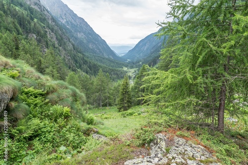 Naturpark Göriachtal mit Blick auf die Berge, Österreich
