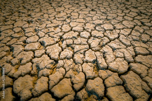 The silt, clay covered with deep cracks during low tide at sea. Tilt-shift