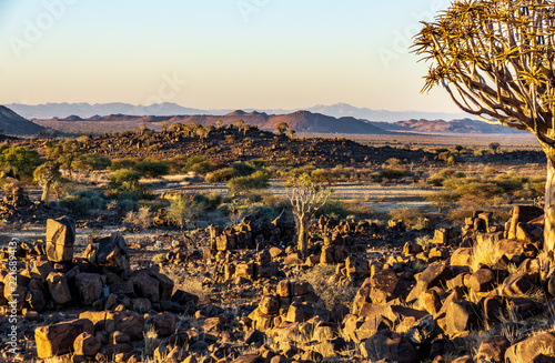 landscape africa namibia rocks quivertree photo