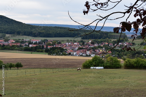 Kühe Land Leute photo