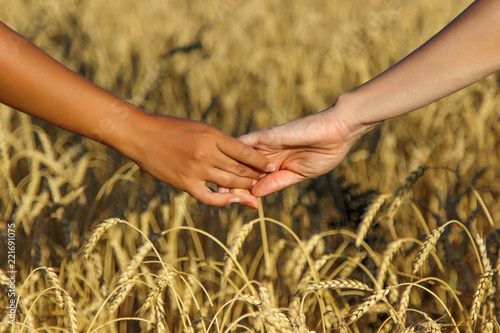 Two people holding hands over a wheat field background