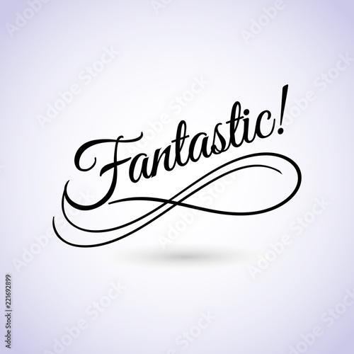 Fantastic sign. Vector illustration. Beautiful lettering calligraphy black text. Calligraphy inscription business isolated on white background.