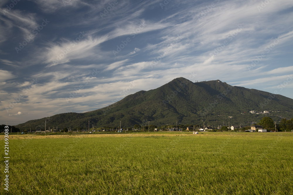 筑波山実り 筑波山実り