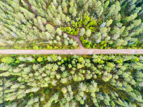 Aerial view of a country road in the forest. Beautiful landscape. Captured from above with a drone. Aerial bird's eye road. Aerial top view forest. Texture of forest view from above.