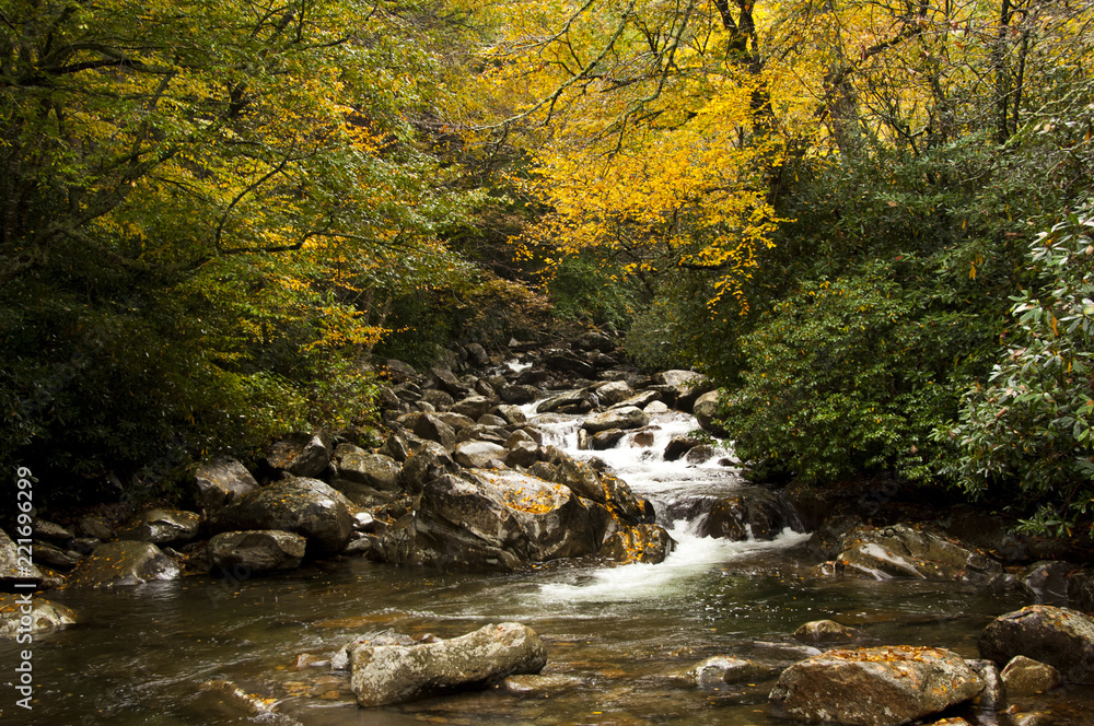 Fall Valley River with Trees 