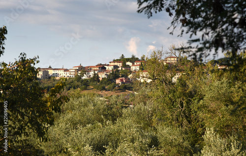 Panorama von Panzano in Chianti auf einem Hügel mit viel Grün im Vordergrund photo